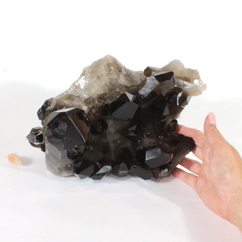 Large smoky quartz crystal cluster 7.55kg | ASH&STONE Crystals Shop Auckland NZ
