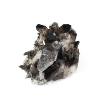 Load image into Gallery viewer, Large smoky quartz crystal cluster 6.99kg | ASH&amp;STONE Crystals Shop Auckland NZ
