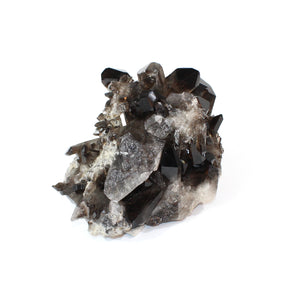 Large smoky quartz crystal cluster 6.99kg | ASH&STONE Crystals Shop Auckland NZ