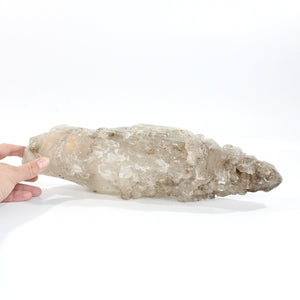 Large smoky quartz laser elestial crystal point 4.68kg | ASH&STONE Crystals Shop Auckland NZ