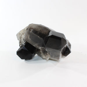 Large smoky quartz crystal clustered points 5.21kg | ASH&STONE Crystal Shop Auckland NZ