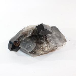 Large smoky quartz crystal clustered points 5.21kg | ASH&STONE Crystal Shop Auckland NZ