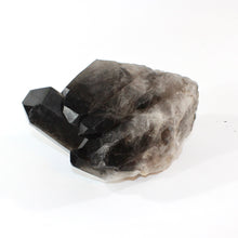 Load image into Gallery viewer, Large smoky quartz crystal clustered points 5.21kg | ASH&amp;STONE Crystal Shop Auckland NZ
