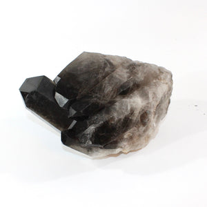 Large smoky quartz crystal clustered points 5.21kg | ASH&STONE Crystal Shop Auckland NZ