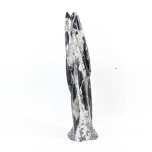 Load image into Gallery viewer, Large black Orthoceras fossilised sculpture 6.41kg | ASH&amp;STONE Crystal Shop Auckland NZ
