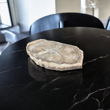 Load image into Gallery viewer, Large petrified wood 3kg | ASH&amp;STONE Auckland NZ
