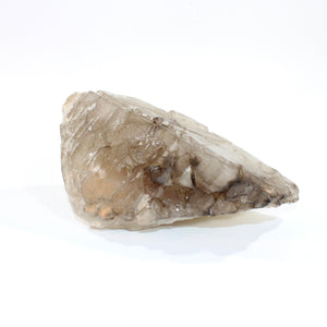 Large smoky citrine elestial crystal 2.87kg | ASH&STONE Crystals Shop Auckland NZ