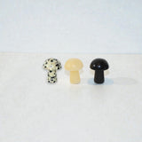 Mushroom set | ASH & STONE, premium ethical crystals online. Free express shipping in NZ 