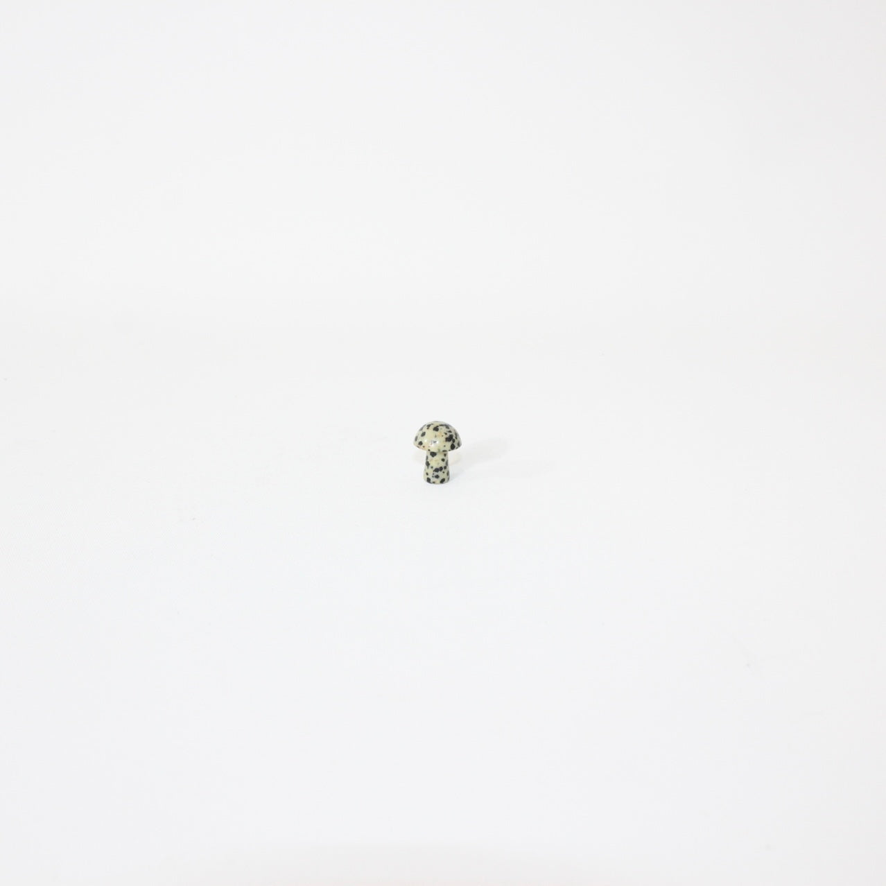 Mushroom crystals | ASH & STONE. Premium crystals online.