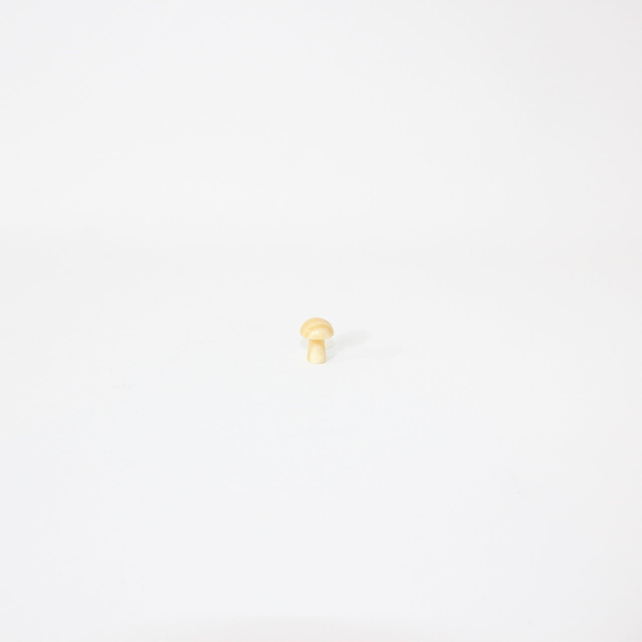 Mushroom crystals | ASH & STONE. Premium crystals online.