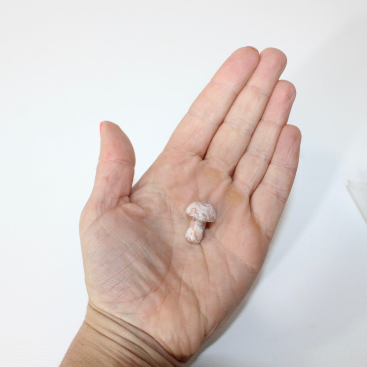 Mushroom crystals | ASH & STONE. Premium crystals online.