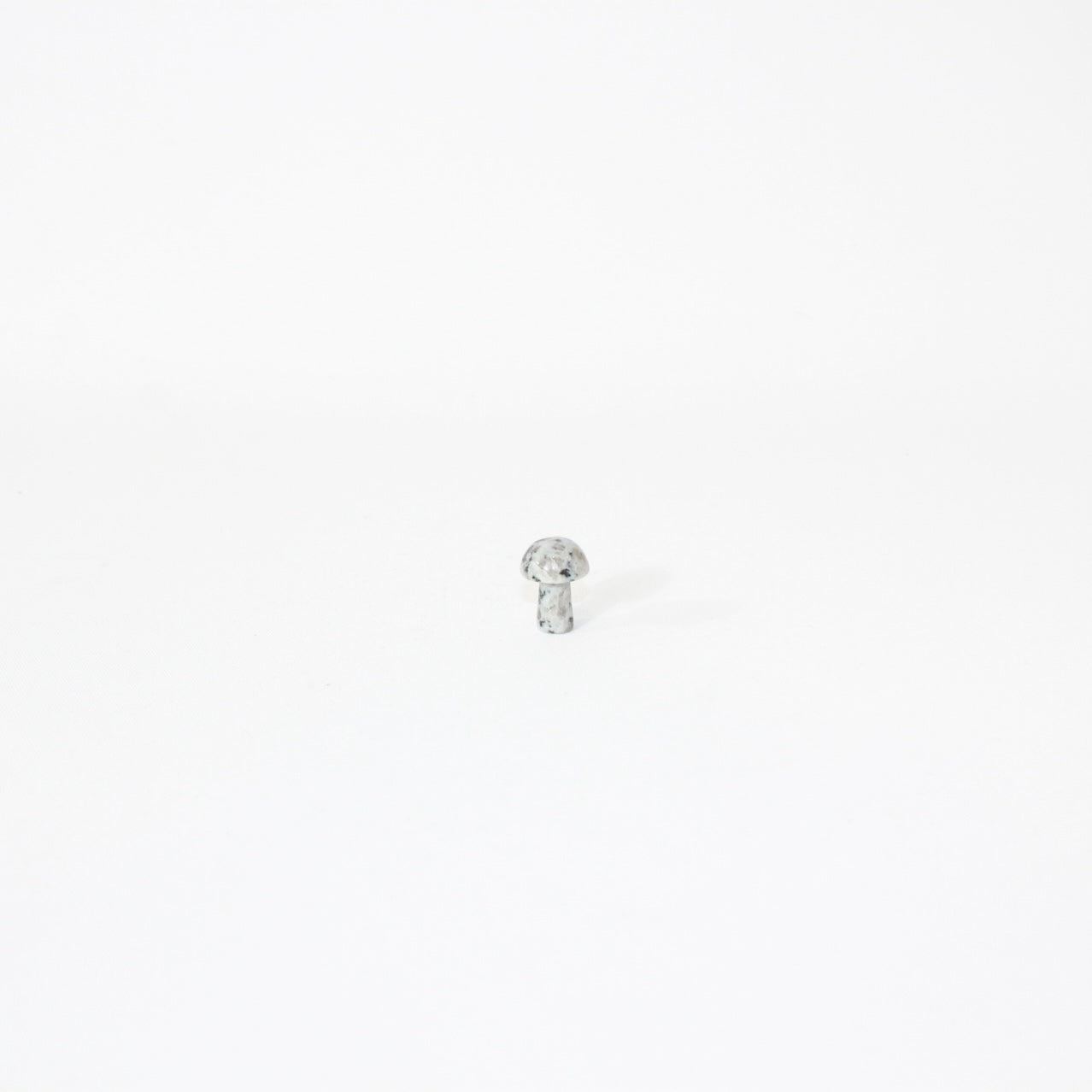 Mushroom crystals | ASH & STONE. Premium crystals online.