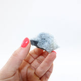 Needle quartz Cluster | ASH&STONE  crystal shop Auckland NZ. AfterPay available.