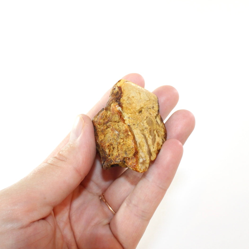 NZ kauri copal | ASH&STONE Crystal Shop Auckland NZ