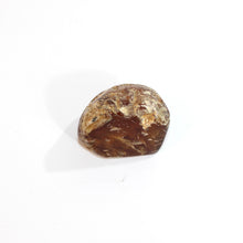 Load image into Gallery viewer, NZ hand polished kauri copal  | ASH&amp;STONE Crystals Shop Auckland NZ
