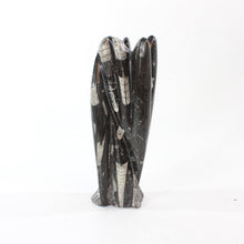 Load image into Gallery viewer, Black Orthoceras fossilised sculpture | ASH&amp;STONE Crystal Shop Auckland NZ
