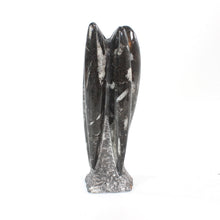 Load image into Gallery viewer, Black Orthoceras fossilised sculpture | ASH&amp;STONE Crystal Shop Auckland NZ
