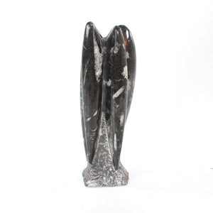 Black Orthoceras fossilised sculpture | ASH&STONE Crystal Shop Auckland NZ