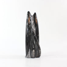 Load image into Gallery viewer, Black orthoceras fossilised sculpture 1.89kg | ASH&amp;STONE Crystal Shop Auckland NZ
