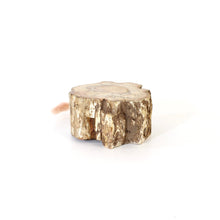 Load image into Gallery viewer, Petrified wood 520gm | ASH&amp;STONE Auckland NZ
