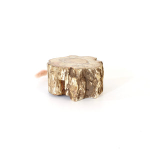 Petrified wood 520gm | ASH&STONE Auckland NZ