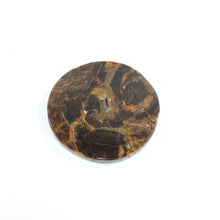 Load image into Gallery viewer, Petrified wood coaster | ASH&amp;STONE Crystals Shop Auckland NZ
