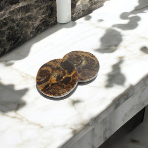 Petrified wood coaster | ASH&STONE Crystals Shop Auckland NZ