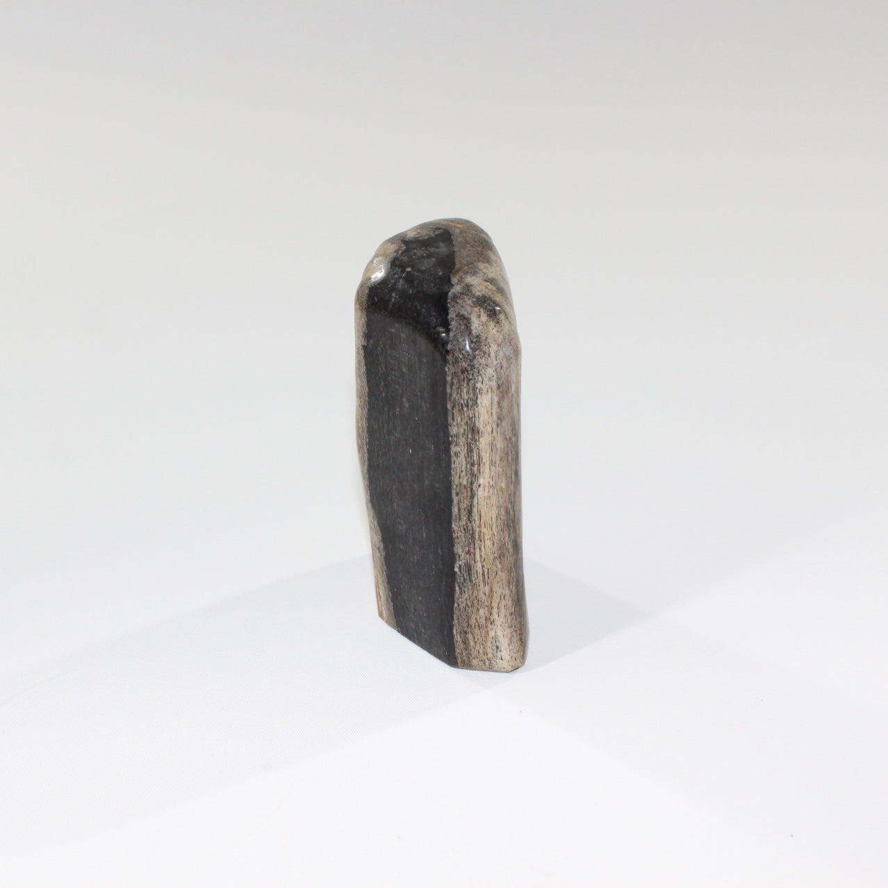 petrified_wood_big_guy_2