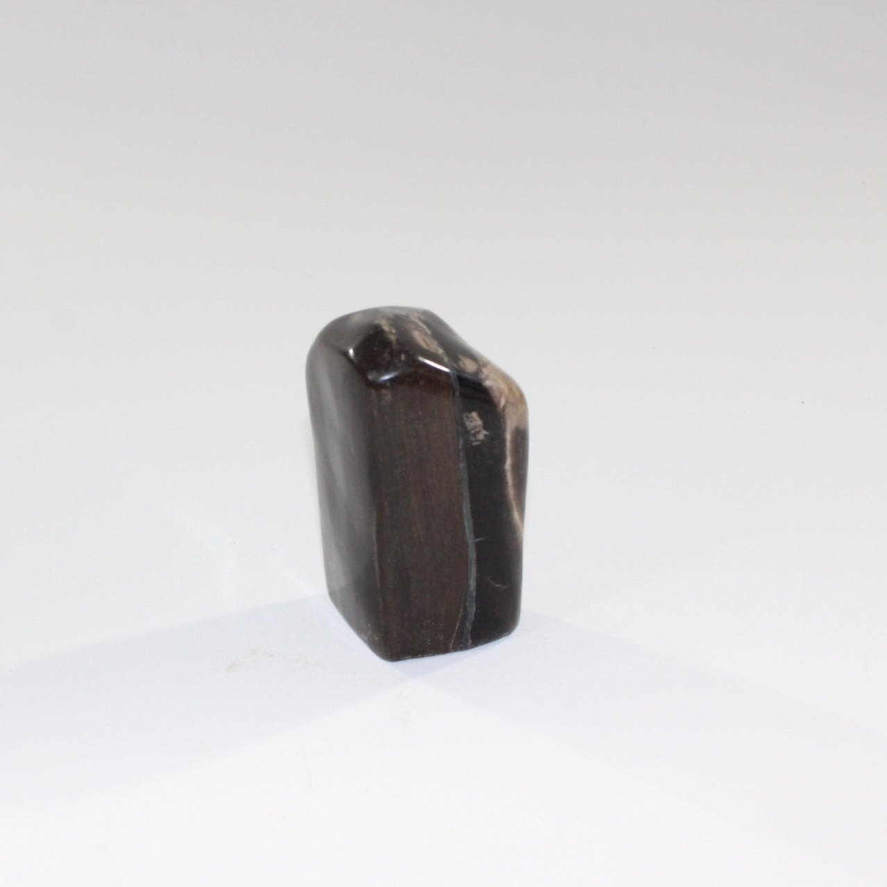 petrified_wood_lil_guy_3