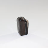 petrified_wood_lil_guy_3