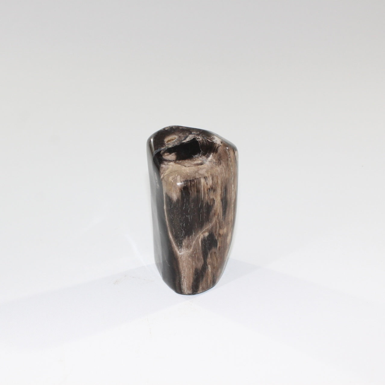 petrified_wood_lil_guy_4