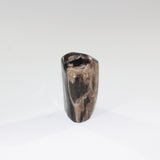 petrified_wood_lil_guy_4