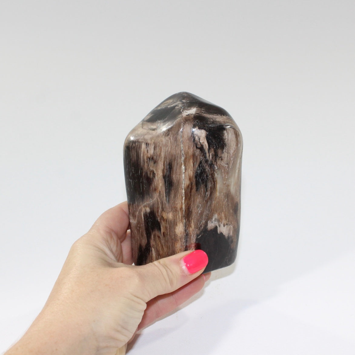 petrified_wood_lil_guy_6