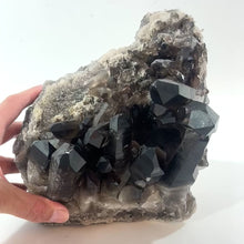 Load and play video in Gallery viewer, Large smoky quartz crystal cluster 7.18kg | ASH&amp;STONE Crystal Shop Auckland NZ
