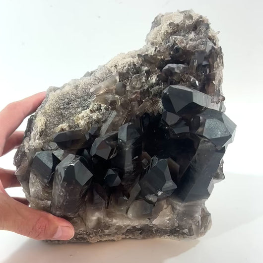 Large smoky quartz crystal cluster 7.18kg | ASH&STONE Crystal Shop Auckland NZ