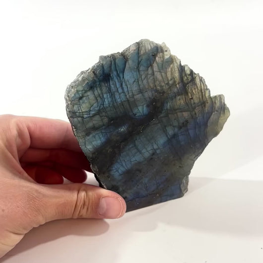 Labradorite crystal free form | ASH&STONE Crystal Shop Auckland NZ