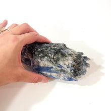 Load and play video in Gallery viewer, Kyanite raw crystal chunk | ASH&amp;STONE Crystals Shop Auckland NZ
