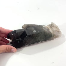 Load and play video in Gallery viewer, Smoky quartz crystal clustered point 1kg | ASH&amp;STONE Crystal Shop Auckland NZ
