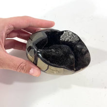 Load and play video in Gallery viewer, Septarian crystal egg | ASH&amp;STONE Crystal Shop Auckland NZ
