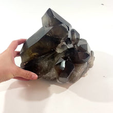 Load and play video in Gallery viewer, Large smoky quartz crystal cluster 7.21kg | ASH&amp;STONE Crystal Shop Auckland NZ
