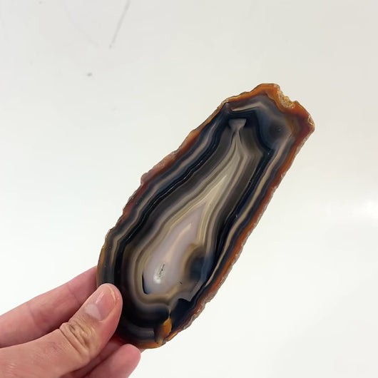 Agate crystal slice | ASH&STONE Crystal Shop Auckland NZ