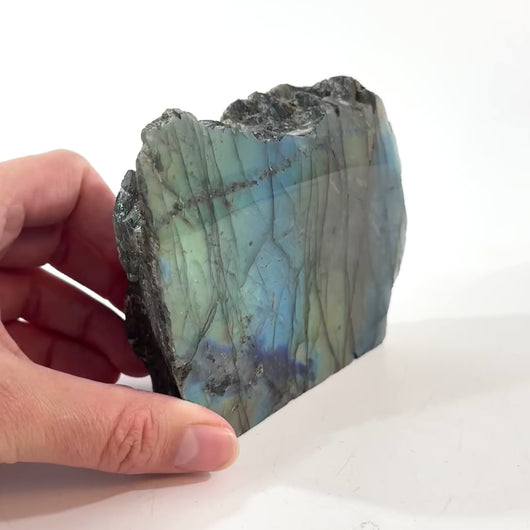 Labradorite polished crystal | ASH&STONE Crystal Shop Auckland NZ