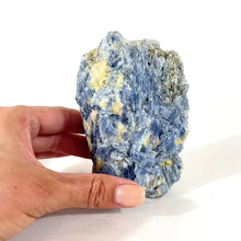 Load and play video in Gallery viewer, Large kyanite crystal with cut base | ASH&amp;STONE Crystals Shop Auckland NZ
