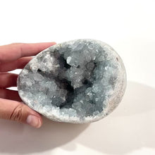 Load and play video in Gallery viewer, Celestite crystal cluster 1.58kg | ASH&amp;STONE Crystal Shop Auckland NZ
