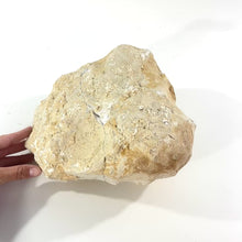 Load and play video in Gallery viewer, Large clear quartz crystal geode pair | ASH&amp;STONE Crystal Shop Auckland NZ
