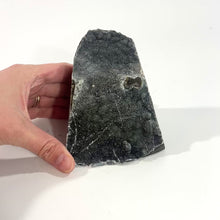 Load and play video in Gallery viewer, Black amethyst crystal druzy | ASH&amp;STONE Crystals Shop Auckland NZ
