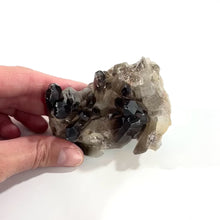 Load and play video in Gallery viewer, Smoky quartz crystal cluster | ASH&amp;STONE Crystal Shop Auckland NZ
