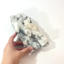 Load and play video in Gallery viewer, Apophyllite crystal cluster 1.67kg  | ASH&amp;STONE Crystals Shop Auckland NZ
