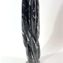 Load and play video in Gallery viewer, Large black orthoceras fossilised sculpture 5.8kg | ASH&amp;STONE Crystal Shop Auckland NZ
