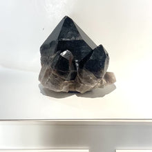 Load and play video in Gallery viewer, Extra large smoky quartz crystal clustered points 39.6kg | ASH&amp;STONE Crystal Shop Auckland NZ
